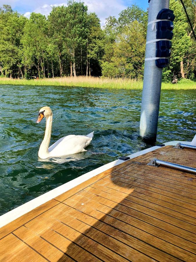 Luxusurlaub Auf Der Amavida Yacht / Scharmuetzelsee Bad Saarow Luaran gambar